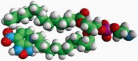 Acyl 12:0 NBD PE 810135C-1MG
