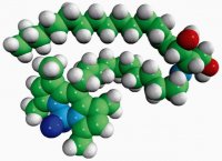 C11 TopFluor Ceramide 810262P-250UG