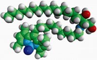 C11 TopFluor Dihydroceramide 810263P-250UG