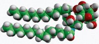 C16 Galactosyl() Ceramide (d18:1/16:0) 860431P-5MG
