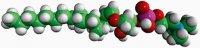 C16(Plasm) LPC 852464P-10MG