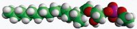 C18(Plasm) LPE 