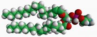 C18(Plasm)-18:1 PE 