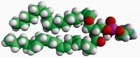 C18(Plasm)-20:4 PE 852804C-5MG