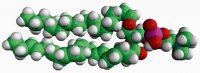C18(Plasm)-22:6 PC 852472C-5MG