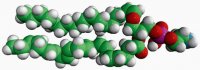 C18(Plasm)-22:6 PE 