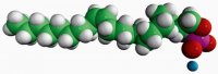 C18:1 Cyclic LPA 857231P-1MG
