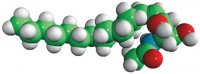 C2 Ceramide (d17:1/2:0) 