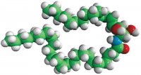C24 Ceramide (d17:1/24:0) 