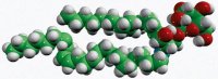 C24:1 Galactosyl() Ceramide (d18:1/24:1(15Z)) 860432P-5MG