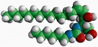 C6-Urea-Ceramide 857400P-1MG