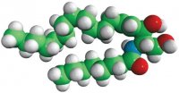 C8 Ceramide (d17:1/8:0) 