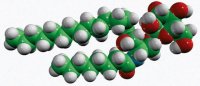 C8 Galactosyl() Ceramide (d18:1/8:0) 860430P-5MG