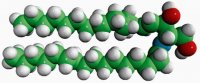 Ceramide (Egg) 