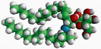 Cerebrosides (Brain) 131303P-25MG