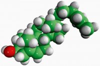 desmosterol 
