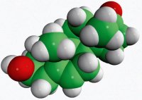 DHEA 700087P-1G