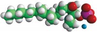 Dimethyl Sphinganine-1-Phosphate (d18:0) 860622P-5MG