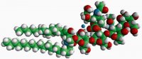 Ganglioside-Total 
