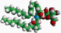 Glucosylceramide (Soy) 