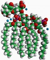 Kdo2-Lipid A (KLA) 699500P-1MG
