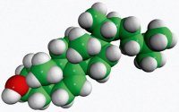 lathosterol 