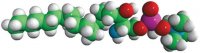 Lyso SM (dihydro) (d18:0) 860620P-5MG