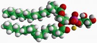 Soy PG 841148P-25MG