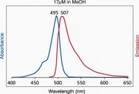 TopFluor Cholesterol 
