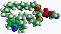 TopFluor PE 