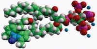 TopFluor PI(3,4,5)P3 810189P-50UG