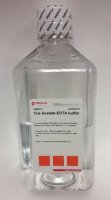 Tris Acetate-EDTA buffer 