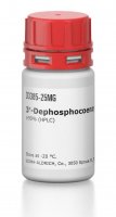 3-Dephosphocoenzyme A 