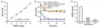 High Sensitivity NADPH Assay Kit MAK216-1KT