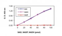 NAD/NADH Quantitation Kit MAK037-1KT