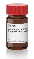 Lipoteichoic acid from Streptococcus pyogenes 