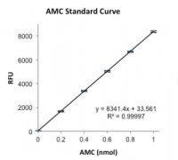 -Glutamyltransferase (GGT) Activity Fluorometric Assay Kit MAK090-1KT