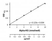 -Ketoglutarate Assay Kit MAK054-1KT