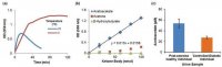 Acetoacetate Colorimetric Assay Kit MAK199-1KT
