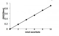 Ascorbic Acid Assay Kit MAK074-1KT