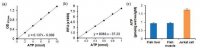 ATP Assay Kit MAK190-1KT