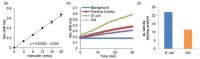 Beta-Lactamase Activity Assay Kit MAK221-1KT