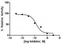 Cathepsin B Inhibitor Screening Kit MAK200-1KT