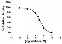 Cathepsin K Inhibitor Screening Kit MAK201-1KT
