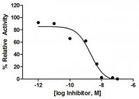 Cathepsin S Inhibitor Screening Kit MAK202-1KT
