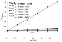 Cobalt Assay MAK024-1KT