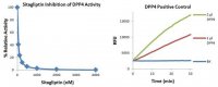 DPP4 INHIBITOR SCREENING KIT MAK203-1KT