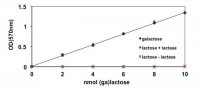 Galactose and Lactose Assay Kit MAK011-1KT