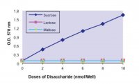 Glucose and Sucrose Assay Kit MAK013-1KT