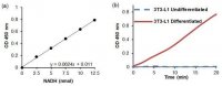 GPDH Activity Assay Kit MAK208-1KT